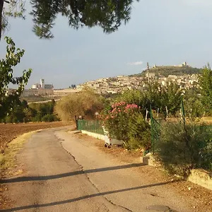 Rosignoli Assisi